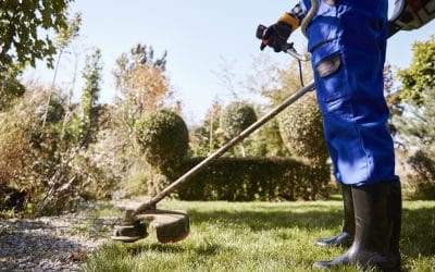 Mantenimiento de jardines: qué tareas deben realizarse