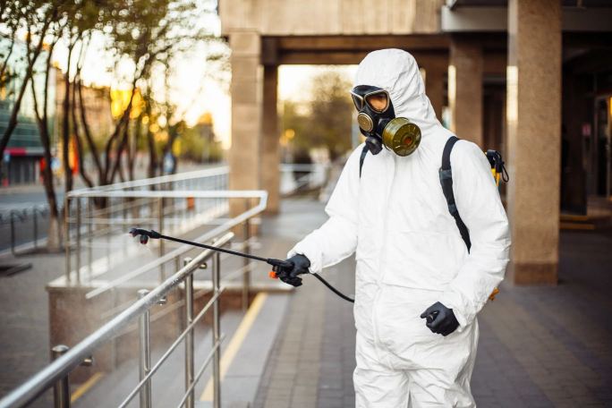 Control de plagas efectivo: qué necesitas saber