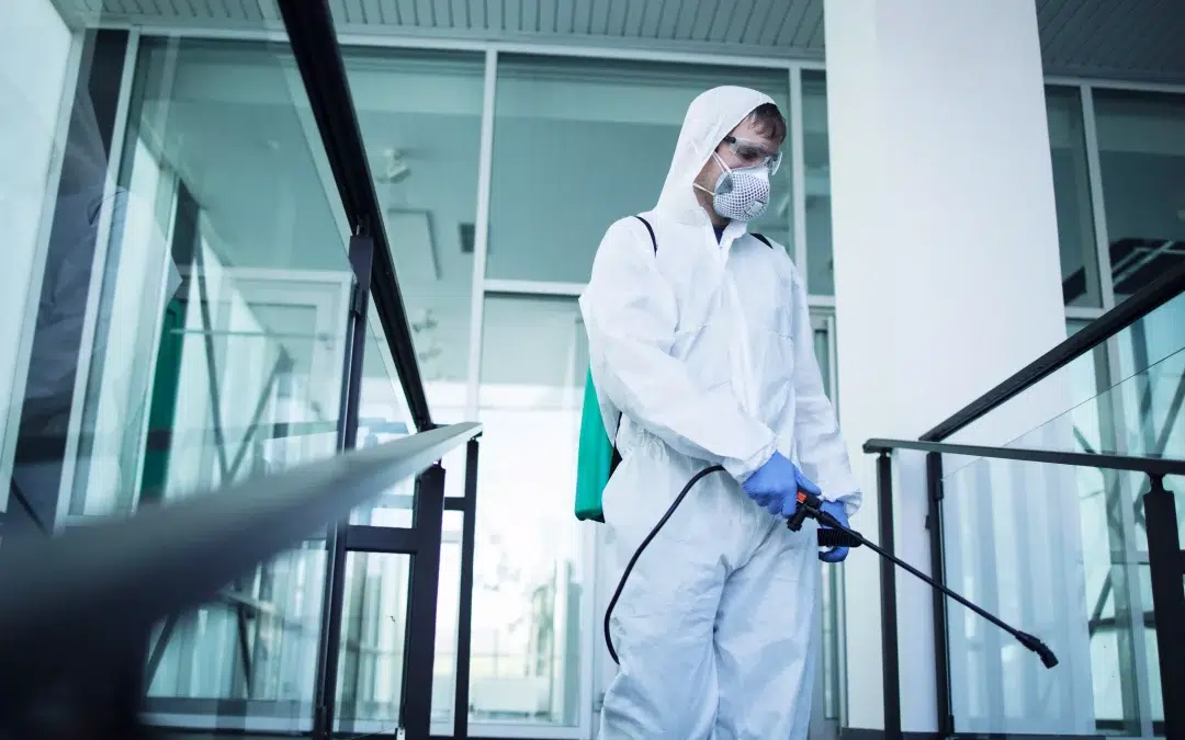 Limpieza de Naves Industriales: Klearfy, tu Aliado en el Mantenimiento