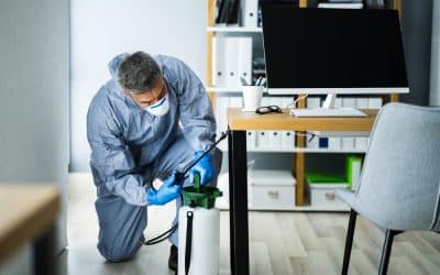 ¿Por qué es importante el control de plagas para tu empresa?