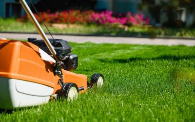 ¿Qué labores se hacen en el mantenimiento de jardines y zonas verdes?