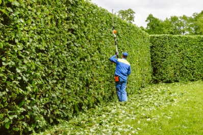 Jardinería en Madrid: Mantenimiento profesional para zonas verdes de comunidades y empresas