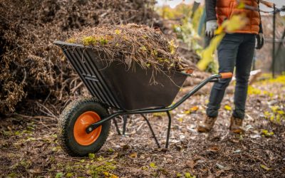 Guía completa: Cómo se debe limpiar un terreno para una construcción