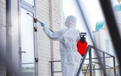 Empresas de limpieza y desinfección en Madrid: criterios para elegir la mejor