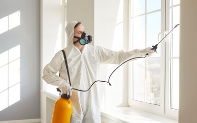 ¿​​Por qué es importante el control de plagas en empresas?